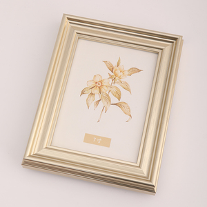 Hot Bán Tùy Chỉnh Châu Âu Cổ Điển Cổ Điển Nhựa Khung Ảnh Đứng Treo Tường Trang Trí Nghệ Thuật Khác Nhau Kích Cỡ Màu Sắc - Product Image 6