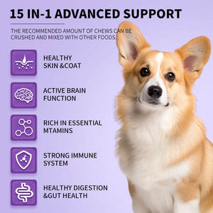 OEM 15-in-1 multivitaminico morbido mastica per cani cibo per animali domestici erbe probiotici integratore masticabile per la salute della pelle di intestino cura del cuore - Product Image 4
