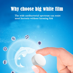 NO.1 수족관 어항 간호 흰 시트 기생충 흰 반점 알약 증상 - Product Image 6