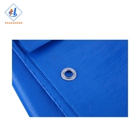 Bâche transparente extérieure de bâche de PE de bâche imperméable bleue de 50 260gsm