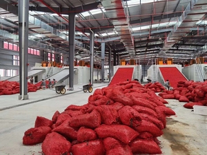 Công nghiệp khô Ớt hạt tiêu sấy dây chuyền chế biến với lưới vành đai máy sấy Ớt cuống cắt và hạt giống Loại bỏ máy - Product Image 2