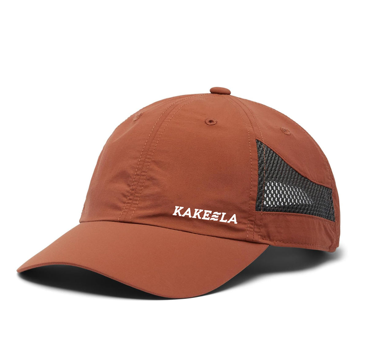 สีน้ำตาล