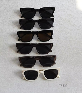 Trendy Tr90 Frame Gafas de sol 2025 Gafas personalizadas Logo Polarizado Hombres Marca Retro Cat Eye Gafas de sol - Product Image 6