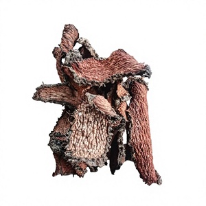 Rodajas de Raíz de Eleutherococcus Trifoliatus Silvestre Vietnamita, Calidad de Exportación, Empaque a Granel, Procesamiento OEM, Fábrica Vietnamita - Product Image 1
