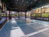 Tapis de sport de luxe antidérapant et imperméable en PVC mince imprimé en 3D pour le volleyball, le basketball, le badminton, la salle de danse, le revêtement de sol