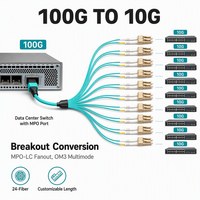 Cable de Fibra Óptica Multimodo OM3 de 24 Núcleos, Conector MPO-LC, 100G a 10 Pares LC, Longitud Personalizada