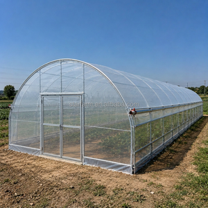 Factory OEM Single-span Double Layer Large Size Film <strong>Plastic</strong> Tunnel Agricultural <strong>Greenhouses</strong> with Transparent <strong>Cover</strong> - Product Image 5