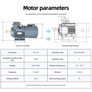 มอเตอร์ไฟฟ้ากระแสสลับแบบอะซิงโครนัสสามเฟส Beide1TL0003 0.55KW~250KW 1000 รอบต่อนาที พร้อมเอนโค้ดเดอร์ 400V 50Hz IE3 แบบปิดสนิท - Product Image 3