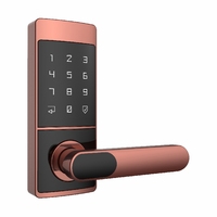 Serrure Intelligente Ttlock en Alliage de Zinc WiFi pour Application Tuya, Sécurité Renforcée, Serrure Électronique Intelligente pour Porte d'Entrée avec Carte Mémoire
