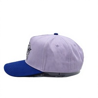 Gorra de Béisbol de 5 Paneles con Bordado en Dos Tonos, de Poliéster/Algodón, Ajustable con Cierre a Presión, para Hombre y Mujer, para Deportes al Aire Libre, Casual, Protección Solar