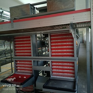 Équipement d'élevage de volailles Cage de ponte de <span class=keywords><strong>poulet</strong></span> entièrement automatique de type H - Product Image 5
