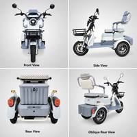 Tricycle électrique motorisé 48V 500W, scooter électrique à 3 roues, 2 places, panier de rangement, autonomie 30-50 km, carrosserie ouverte, adulte, personne âgée