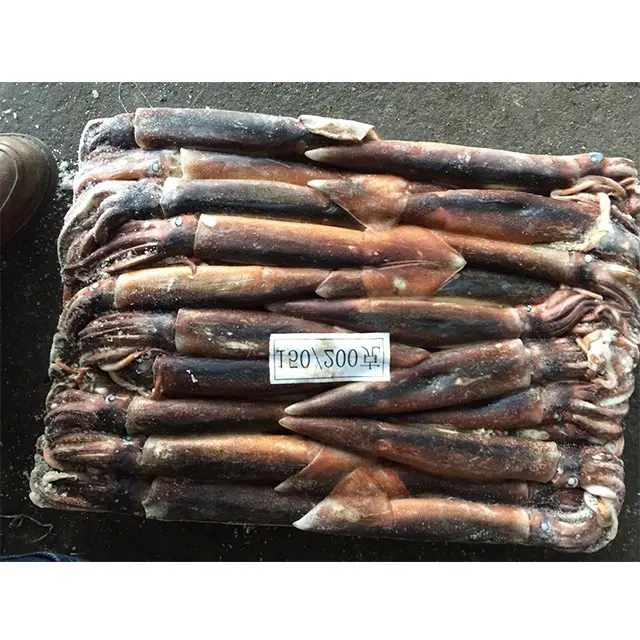 Frozen illex squid whole round M size