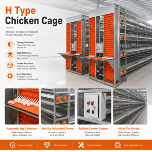 Sistema de Jaulas Tipo H para 50.000 Pollos con Alimentación Automática, Riego, Recolección de Huevos y Gestión de Estiércol - Product Image 2