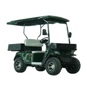 도매 브랜드 새로운 4 륜 골프 카트 유틸리티 차량 2 인승 전기 클럽 자동차 골프 카트 접이식 트렁크