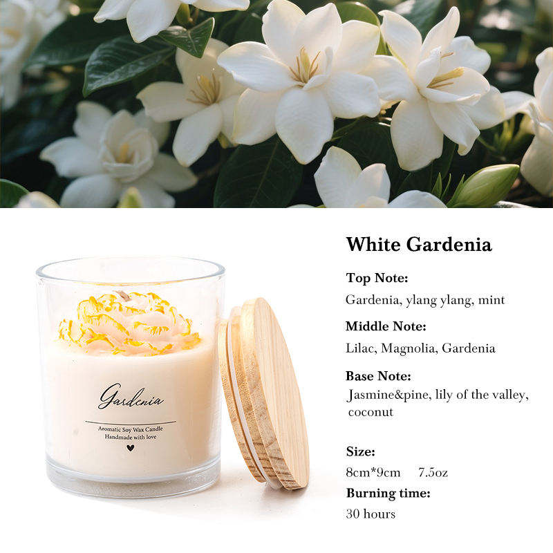 Gardénia blanc