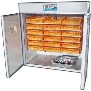 Chinese Manufacturer Poultry Automatic Brooder Chickens Solar Egg Incubator and Hatcher