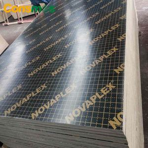 Консмос 13-слойный фенольный эвкалипт, тополь, комби, пленка, облицованная фанерной панелью, цена - Product Image 6