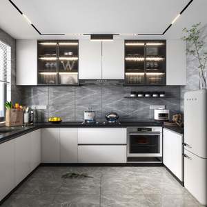 Prix des armoires de cuisine encastrées d'occasion de style industriel Royal en laque blanche SANTOPOVA avec évier en Inde - Product Image 3