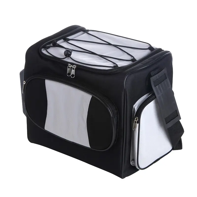 DC 12 Volt Portable Mini Fridge Soft-Side Cooler Bag with Thermoelectric Cooler and Warmer for Car & Hotel Use