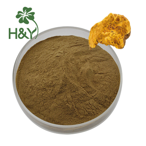 Bổ sung sức khỏe sang Hwang nấm Mushroom extract phellinus linteus chiết xuất bột - Product Image 1