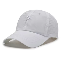 Gorra de Béisbol Personalizada con Logotipo Bordado en 3D, 6 Paneles, Visera Curva, Orificios Láser, Impermeable