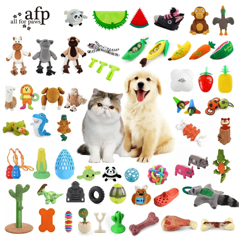 Best Sell All for Paws Other