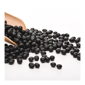 Haricots soja noires sains, haute qualité, 50-