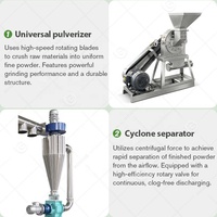 Kruiden Fruit Graan Rijstschil Gember Kurkuma Malen Verbrijzelen Poeder Proces Verwerking Maalmachine Vergruizer Machine