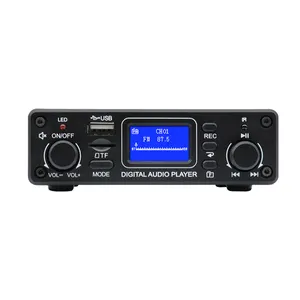 Fábrica OEM FM USB BT MP3 Player Amplificador Portátil Mini Com Tela LCD Micro Amp One-119B