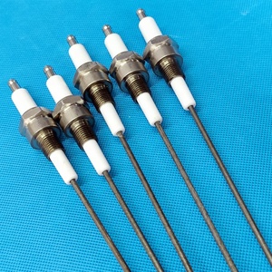 Électrode <span class=keywords><strong>d</strong></span>'<span class=keywords><strong>allumage</strong></span> de chaudière en céramique, tige en céramique résistante à l'usure, filetage NPT 1/4 personnalisé - Product Image 1