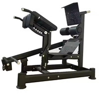 Machine de musculation multifonctionnelle professionnelle à charge libre pour la gym, double 45, pour extensions de hanches et développement des fessiers