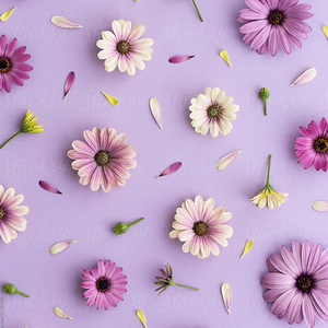 Écologique de haute Qualité De Décoration De Gâteau Outils A4 Azyme alimentaire <span class=keywords><strong>Papier</strong></span> - Product Image 2