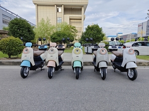 <strong>Electric</strong> Adult <strong>Scooter</strong> Motorcycle <strong>Electric</strong> <strong>Scooter</strong> <strong>Price</strong> <strong>India</strong> with <strong>Price</strong> the <strong>Best</strong> <strong>Electric</strong> Mobility 800w 1000W - Product Image 6