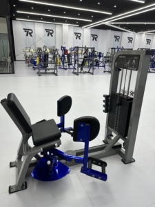 ROSEN Fitness Q235 acero culturismo gimnasio equipo peso ajustable Selectorized Pin cargado cadera abducción máquina para ejercicio - Product Image 3