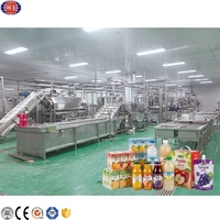 Fruit Ananas Mangosap Concentraat Maken Verwerking Vullen Complete Productielijn