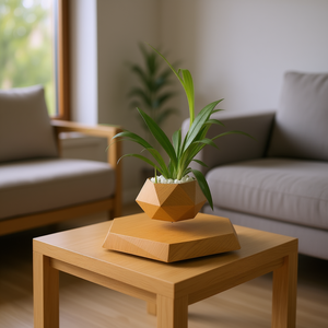 Plante en pot à lévitation magnétique magique, pot flottant géométrique en bois pour petites plantes, décoration de bureau intérieure - Product Image 2