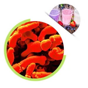 Fornitura del produttore di contratti probiotici Bifidus Breve/B Breve/breve Breve polvere probiotica per alimenti