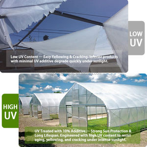 耐紫外線プラスチック温室カバー 温室シート 屋根保護 温室フィルム - Product Image 5