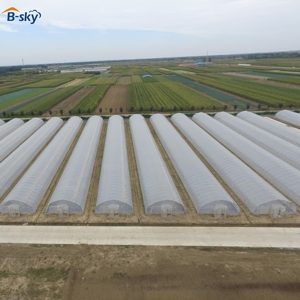 <span class=keywords><strong>Serre</strong></span> commerciale à grande portée en film plastique avec structure en acier galvanisé stabilisé aux UV pour la culture de légumes et de fleurs - Product Image 1