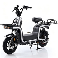 Sepeda Listrik Kurir Tugas Berat dengan Rangka Aluminium, Modul Motor Tanpa Sikat, Pengontrol, Skuter Pengantar Barang 25kmh GPS