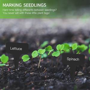 Etichetta per appendere il giardino fornitura di decorazione albero per appendere piantina alberi da frutto segni etichetta per piante in plastica etichetta per piante stampata - Product Image 4