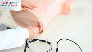 GD/CPR169 Chung Bác Sĩ Tắc Nghẽn Đường Thở Tim Phổi Hồi Sức (CPR) Đào Tạo Mô Phỏng - Product Image 3