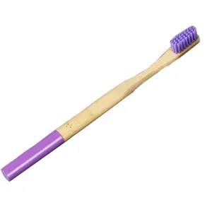 Cross-Border Adult Environmental Protection Toothbrush Set Soft Charcoal Bamboo Handle Color Paint Degradable Toothbrush