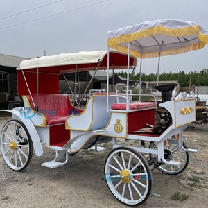 Calèche électrique économique à 2 rangées, blanche, nouveau style, pour transport spécial et tourisme - Product Image 3