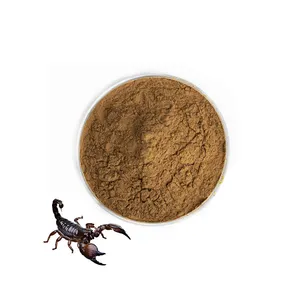 Estratto di veleno di scorpione butotossina in polvere di scorpione essiccato puro all'ingrosso 10:1