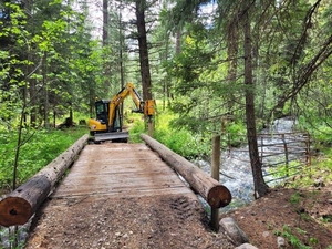 Free Shipping <strong>excavator</strong> 3500kgs 1 Ton 2 Ton Kubota Engine Digger <strong>excavator</strong> <strong>mini</strong> Pelle Chinese Cheap Small <strong>excavator</strong> Machine - Product Image 5