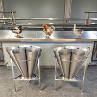 Cône de saignée pour abattage de volailles de marque MD, équipement d'abattoir, garantie 1 an, dimensions personnalisables, certifié et testé