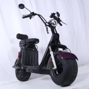 Elegante Scooter de neumáticos gruesos eléctrico para adultos DOT CE a la venta 2000W 1500W Citycoco logotipo personalizado gratuito motocicleta eléctrica