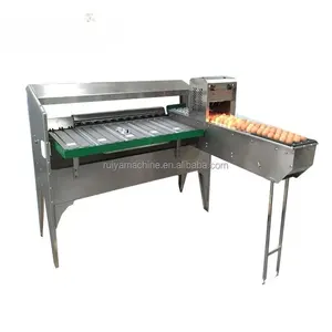 Ruiya 5400pcs/h egg grading machine/egg processing equipment